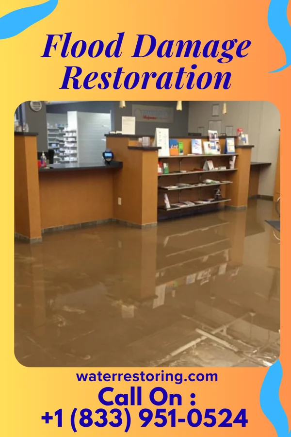 Flood Damage Restoration in Steele, AL